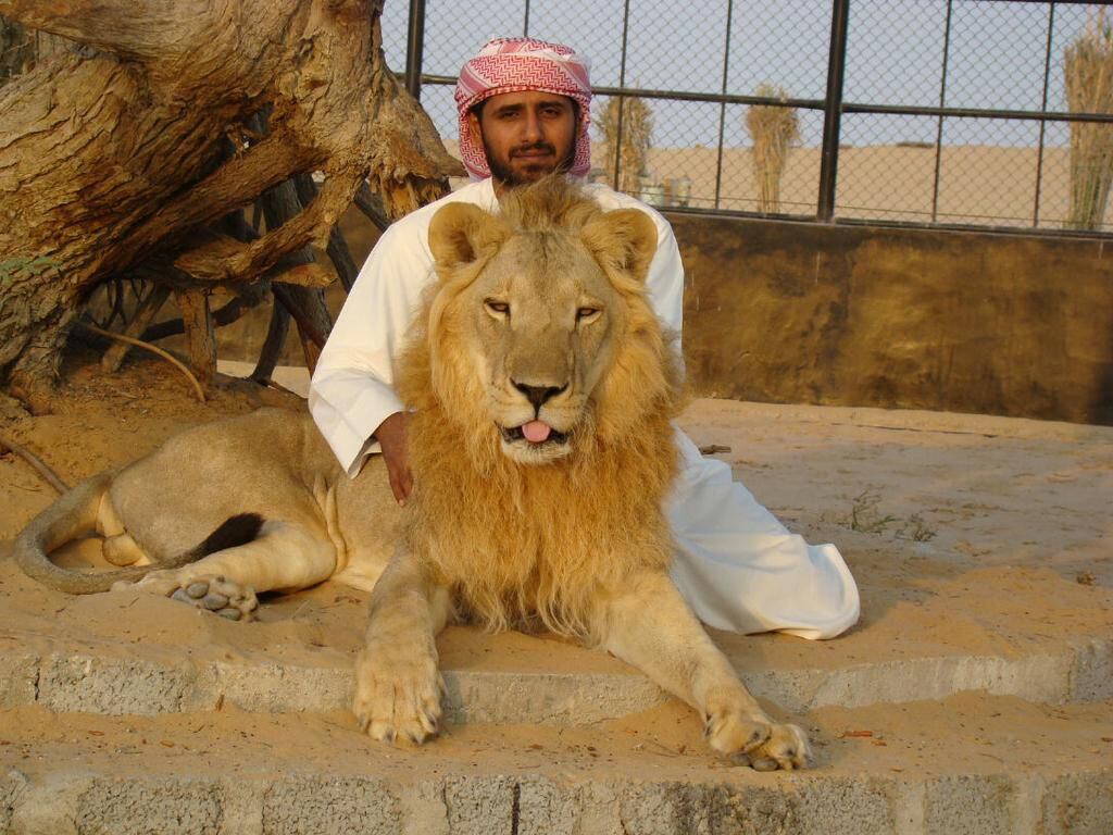 UAE law on wild animal possession 'a milestone', activists say