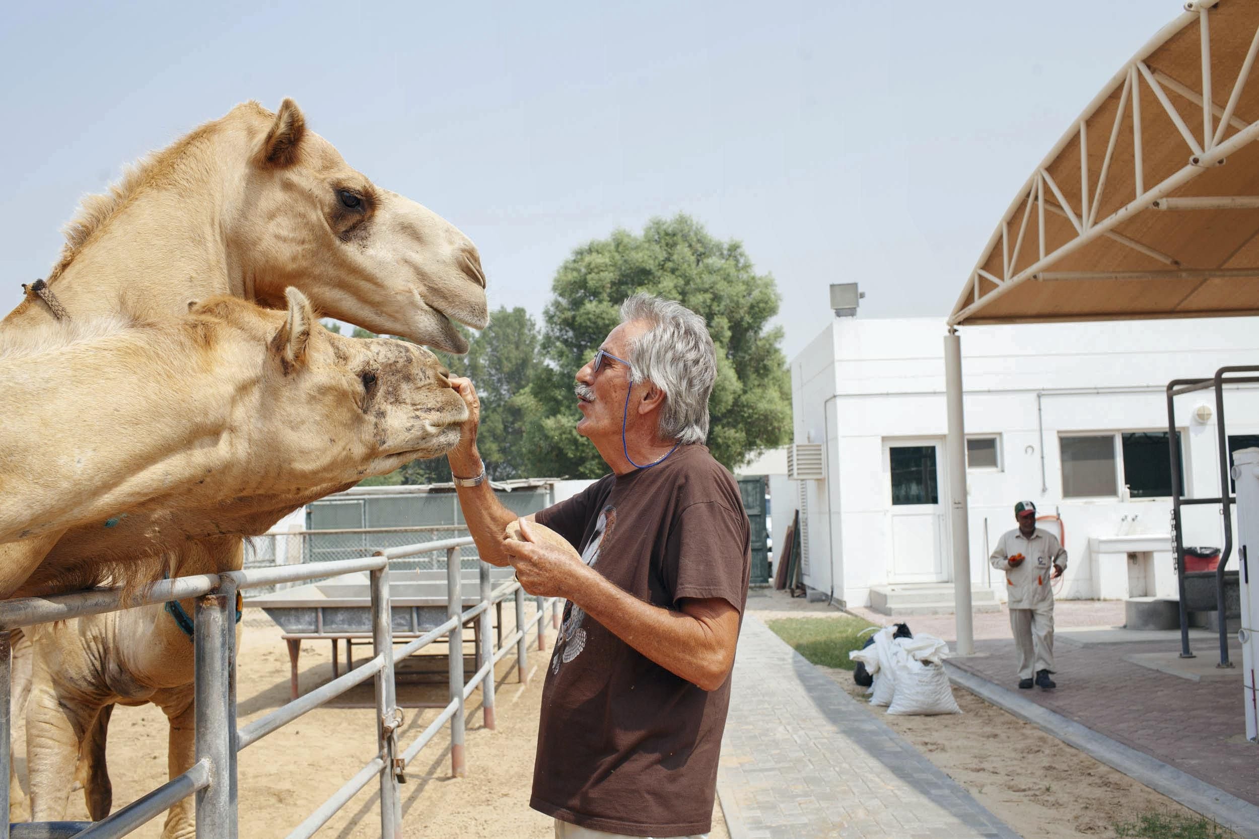 Dubai veterinary lab creates vaccines to fight disease in UAE's most prized  animals