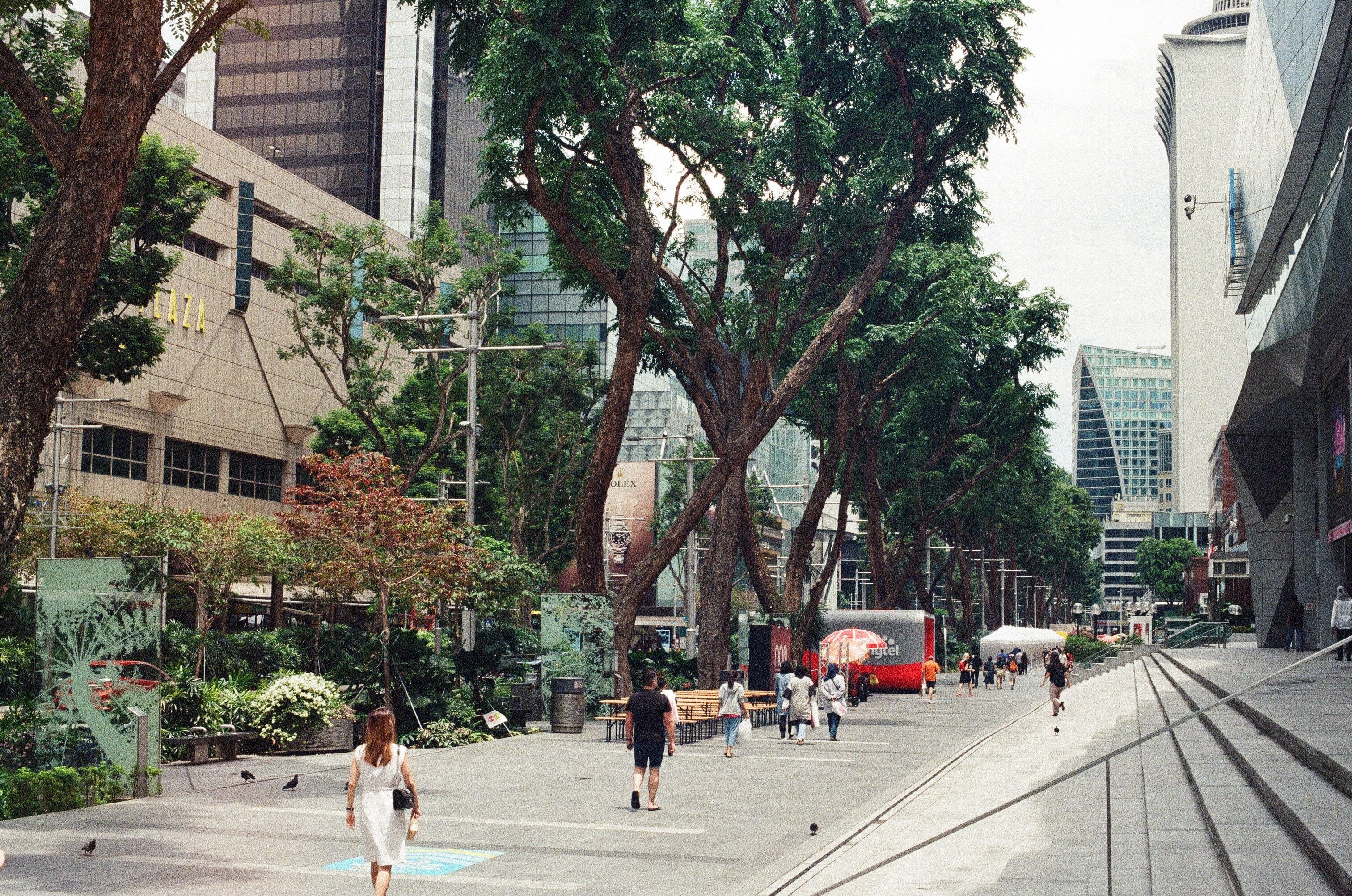 Exploring the rich history of Singapore's Orchard Road via walking tours