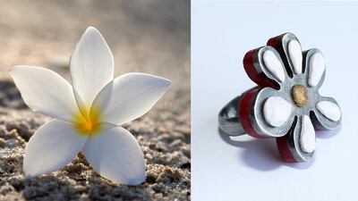 Basil: “Out of my letters will exude fragrance of narcissus, basil and wild thyme.” Pawan Singh / The National