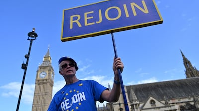 A protester calling for the UK to rejoin the EU in central London. AFP
