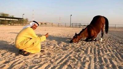 Ali Al Ameri, the Emirati horsemaster, with his horses. He will be judging and showcasing his skills at the Equitana in Melbourne November 15-18.