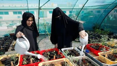 Noof Al Zayoudi, right, and Fatimah Mohammed tend their garden plants at HCT.