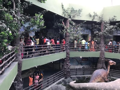 Inside the Dinosaur Museum in Balasinor. Courtesy Khursheed Dinshaw