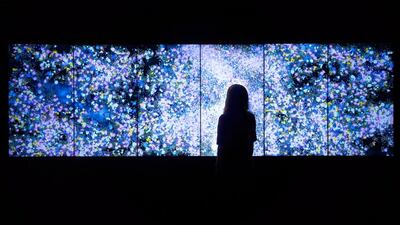 Flowers and People – Dark by teamLab (Collective created in Tokyo, 2001). Courtesy Martin Browne contemporary and the artist