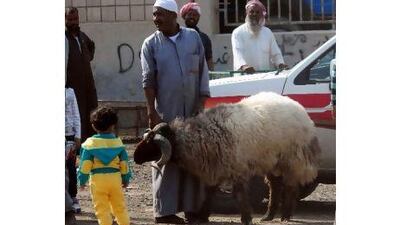 Kuwaitis buy sheep to celebrate Eid in Kuwait City on Sunday.