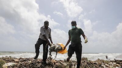 Sri Lankan Wildlife Department officials remove a partly decomposed, headless carcass of a marine turtle (Caretta caretta) for further examination after it was washed ashore on the beach at Uswetikeiyyawa in the suburbs of Colombo, Sri Lanka, June 21, 2021. EPA