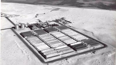 Courtesy Ali Kaddas Al Romaithi