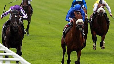 Frankie Dettori will once again partner Rewilding, right, at Ascot.