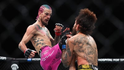 Sean O'Malley lands a knee on Marlon Vera. Getty