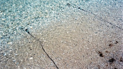 Tarek Atoui has collected and will perform the 'sounds of the city' at Warehouse421 this weekend as part of the Abu Dhabi Arts programme, joined by trumpeter Mazen Kerbaj. Courtesy of Abu Dhabi Art