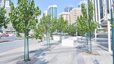 The project at Al Zahiyah included new roads, bridges, parks and pedestrian walkways.