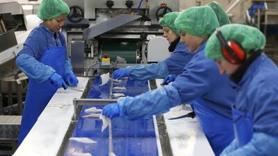 Workers process fillets of lemon sole at a processing facility of Flatfish, a family-owned business with an annual turnover of more than £12 million. Phil Noble / Reuters