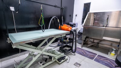 Posh Pets also has two rooms upstairs for grooming services.