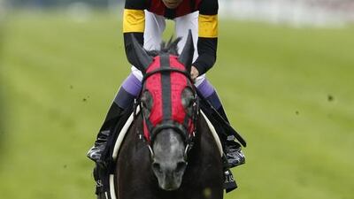 A Shin Hikari ridden by Y Take during the Prince Of Wales's Stakes. Andrew Boyers / Reuters