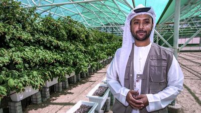 Mohamed Al Muhairi, Agricultural Development Section Manager at Adafsa. Victor Besa / The National