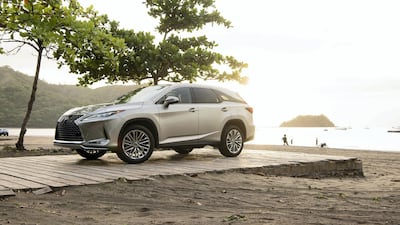 Looking smart in the early evening.