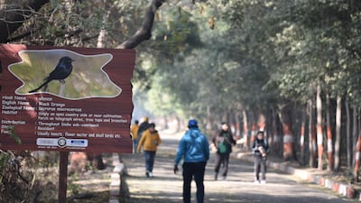 The Okhla Bird Sanctuary, in India's capital Delhi, has become popular with young people, especially after the pandemic lockdowns. All photos: Taniya Dutta / The National