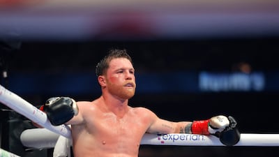 Canelo Alvarez takes a breather after Terence Crawford suffered a cut. Getty Images