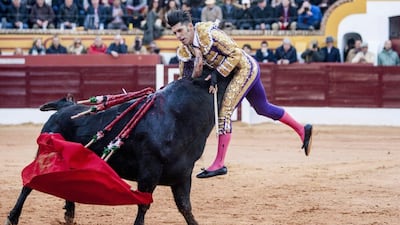 Bullfighter Alejandro Talavante is gored by a bull during the Olivenza Fair in Olivenza, Spain. EPA / OTO