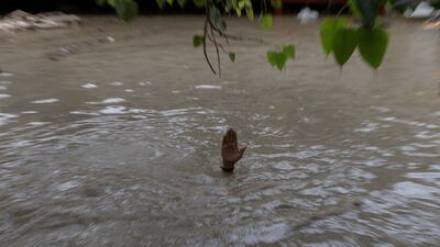 The hand of a Hindu priest shows the level of floodwaters inside a temple after heavy monsoon rain in New Delhi. Reuters