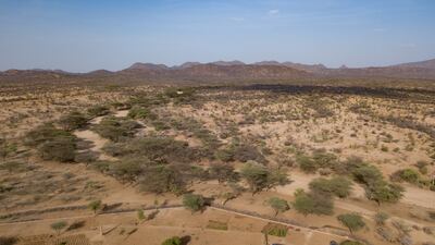 Arid land, such as here in Turkana County, Kenya, is becoming commonplace in many parts of the world due to degradation, the UN says. Photo: UNCCD
