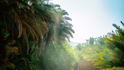 Bensimon gives readers a glimpse into the little-known geological wonder through his photography.