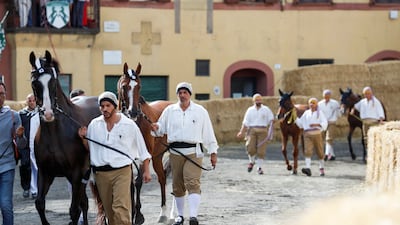 Horses are led to start of the race.