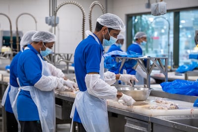 Workers clean fish for customers at Al Jubail Market in Sharjah. Ahmed Ramzan / The National