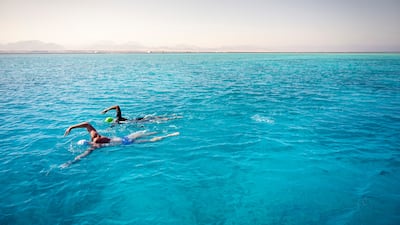 Bin Laden joined British-South African endurance swimmer and UN Patron of the Oceans Lewis Pugh on the swim to call attention to the destruction of coral reefs.