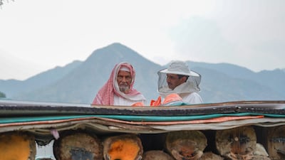 Beekeeping in the Soudah mountains of Saudi Arabia. Around 3,500 tonnes of honey annually are produced here. Photo: Soudah Development