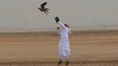 A contestant releases his falcon in the rate-of-ascent category, where the bird must reach a balloon 200 metres above the ground, at last year's Abu Dhabi Falconry Competition at Al Wathba Area. Ravindranath K / The National