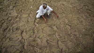 In this Aug. 3, 2012 file photo, an Indian farmer shows a dry, cracked paddy field in Ranbir Singh Pura, 34 kilometres from Jammu, India. A United Nations panel of scientists has drafted a list of eight "key risks” about climate change that have the greatest potential to cause harm to the planet. The list is part of a massive report on how global warming is affecting humans and the planet and how the future will be worse unless something is done about it. Channi Anand, file/ AP photo