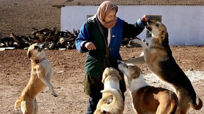 The dispute over dogs is part of a culture war in Iran that dates back to the revolution in 1979 that toppled the pro-Western shah.