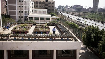 The idea of rooftop gardening has been gaining popularity around the world as well as in Egypt. Above, a rooftop garden in a school in Qaliubiya. David Degner for The National