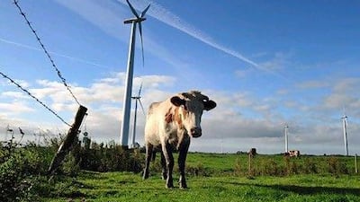 Despite the global slowdown and the uncertainties surrounding climate-change negotiations, you do not need to look far ahead to see a bright future for renewable energy. AFP