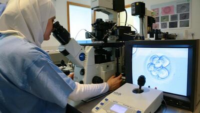 A specialist analyses an embryo inside the laboratory of a fertility centre in Dubai. Jeffrey E Biteng / The National