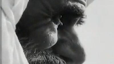 A screen shot from the film, A Flood in Baath Country. Courtesy of You Tube video