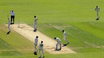 Australia celebrate the wicket of Rory Burns. Getty