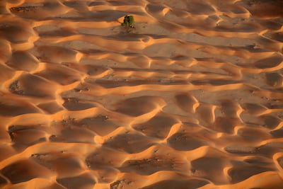 The desert sand dunes in Abu Dhabi. Sammy Dallal / The National