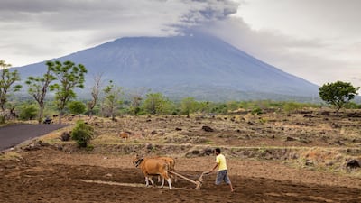 Mount Agung is seen spewing heavy volcanic ash on November 28, 2017 in Karangasem, Island of Bali, Indonesia. Andri Tambunan / Getty Images