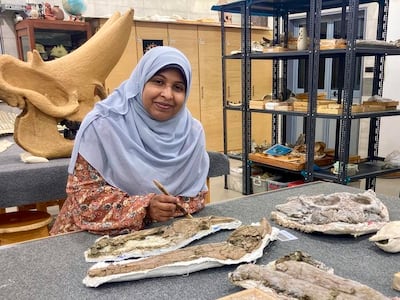Lead author Sara Saber with the Wadisuchus kassabi fossils. Photo: Hesham Sallam, Mansoura University Vertebrate Palaeontology Centre