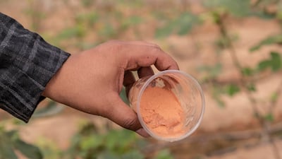 For any kind of plant, only one centimetre of the product is required. The special sand is then covered with regular desert sand, compost and nutrients.