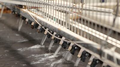 Tiles under process at the RAK Ceramics factory. The company employs about 15,000 people in nine countries. Pawan Singh / The National