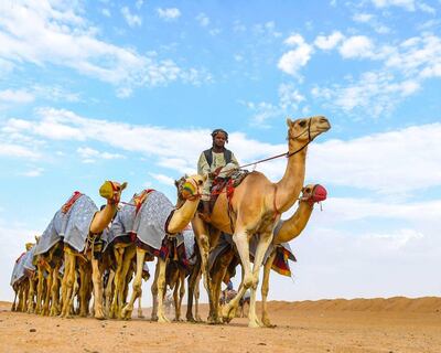 The Crown Prince Camel Festival