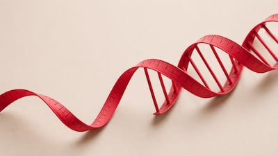 Despite decades of scientific progress, obesity is widely framed as a question of discipline rather than biology. Supplied image