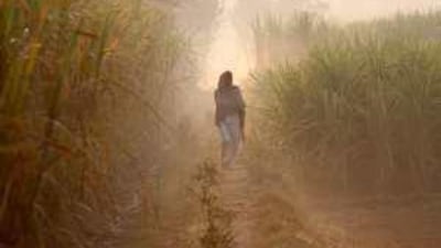 Evidence that India is well along the road to recovery emerged this week with the news that its economy expanded at a rate of 7.9 per cent in the third quarter.