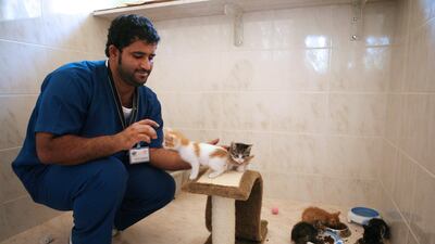 An animal shelter in Abu Dhabi rescues street dogs and cats that are nursed to health and then made available for adoption. Fatima Al Marzouqi/ The National