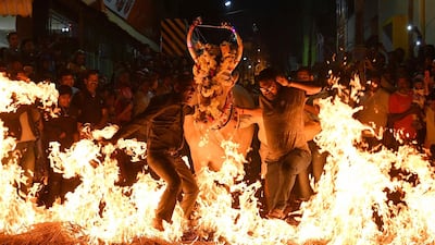 Indian men lead a cow over burning hay as part of a ritual to seek good fortune and protection from harm during the Hindu Makar Sankranti festival in Bangalore. AFP
