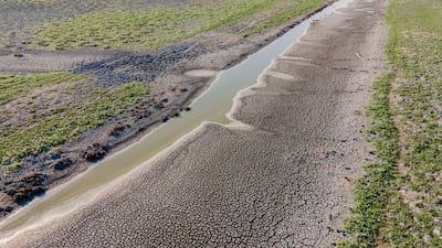 Cracked earth surrounds a lake with low water levels on a buffalo reserve in Morahalom, Hungary. Bloomberg